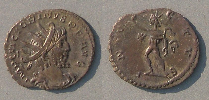 VictorinusINVICTVSbrown8329.jpg