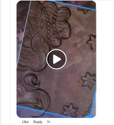 video screen shot.jpg