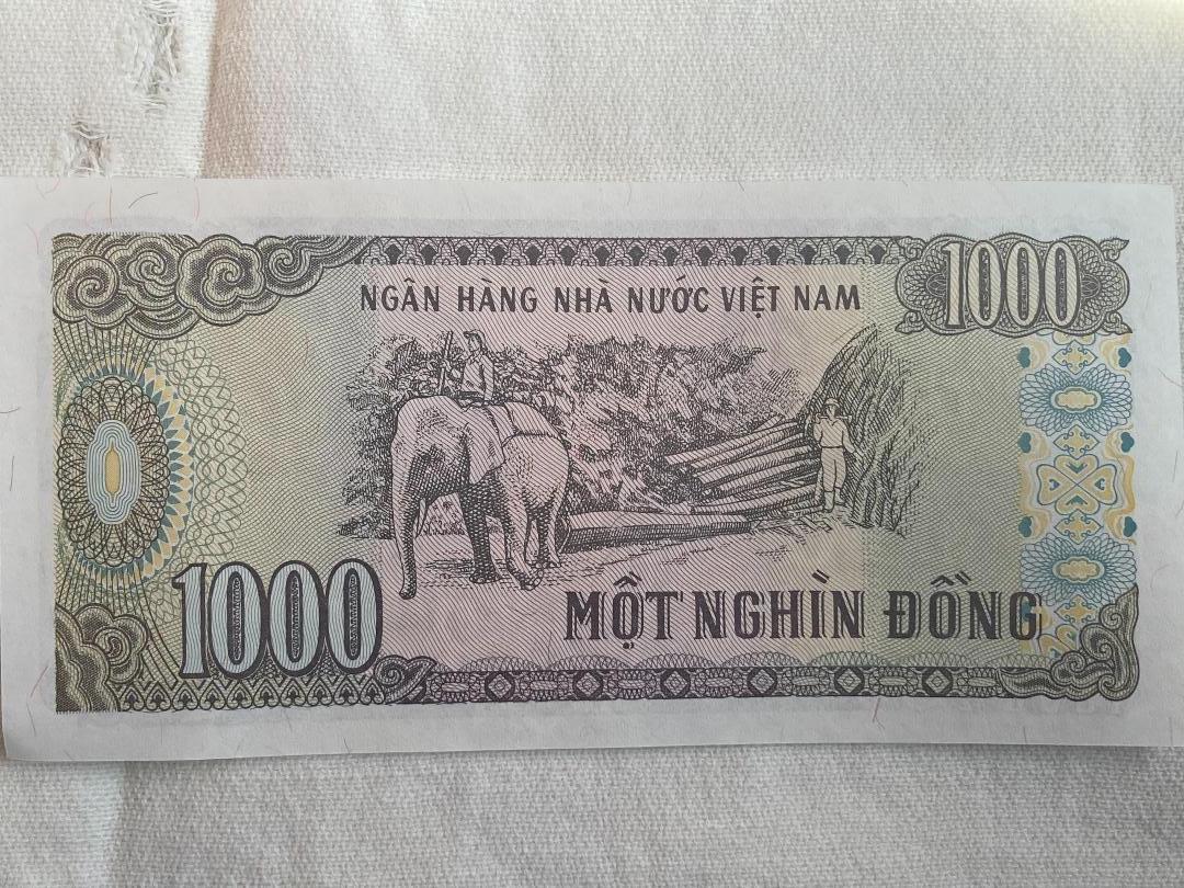 Vietnam 1,000 Dong Banknote (T).jpeg