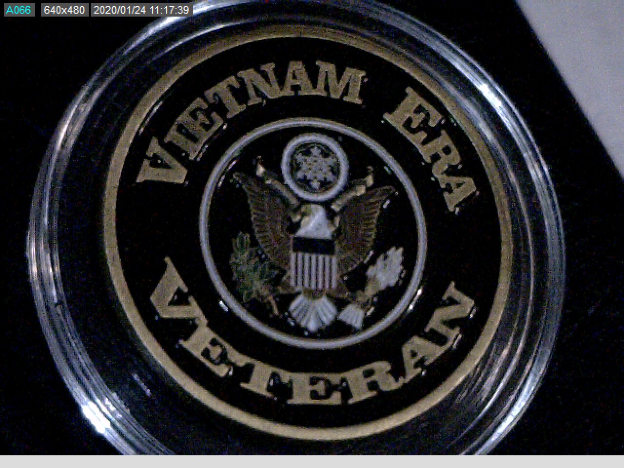 Vietnam Vet.jpg