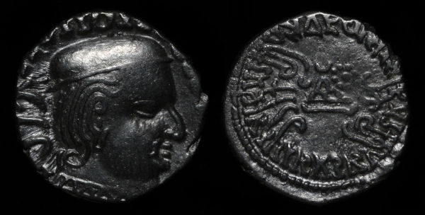 Vijayasena164SE_opt.jpg