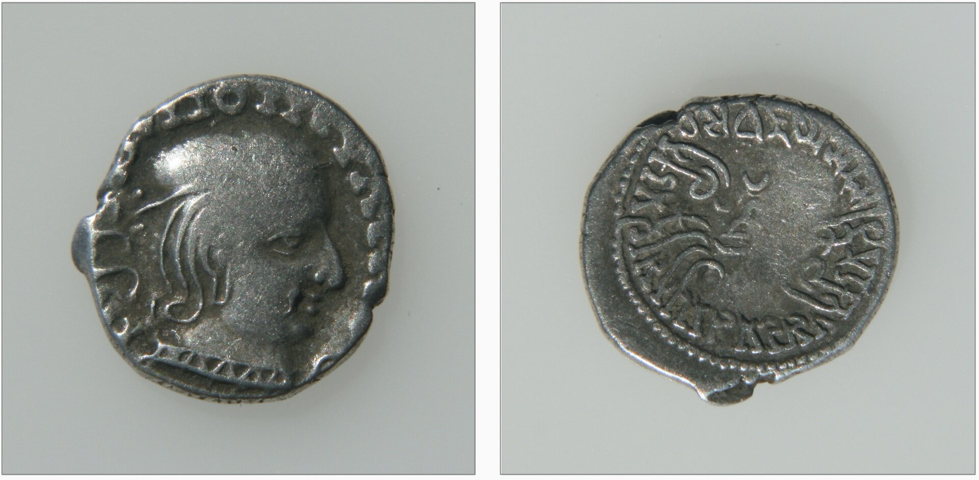 vijaysena.jpg