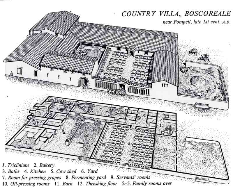 VillaRusticaBoscoreale2.jpg