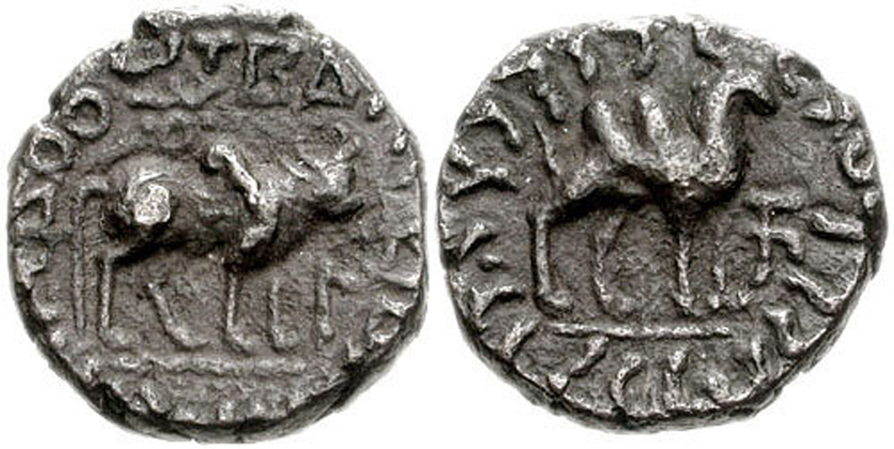 Vima-Takha.jpg