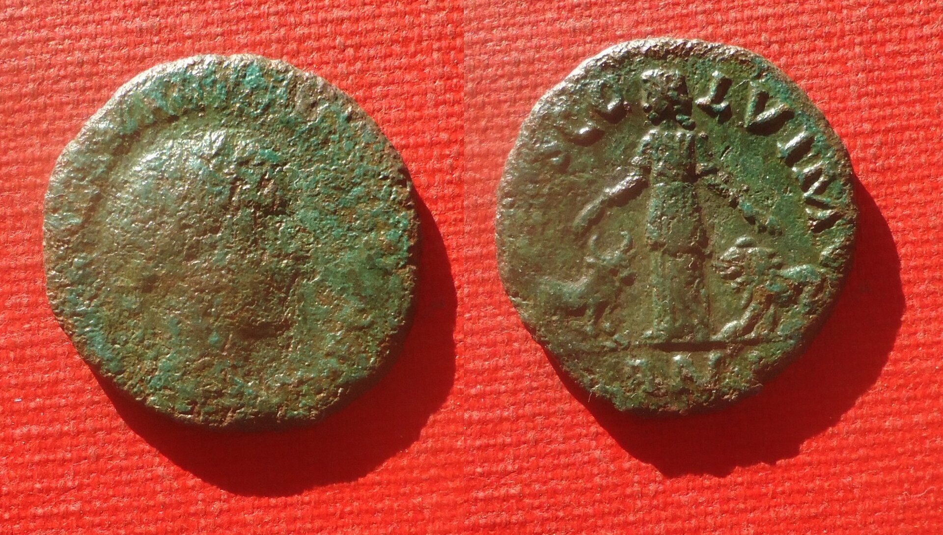 Viminacium - Gordian III AE lot Apr 2021 (0).jpg