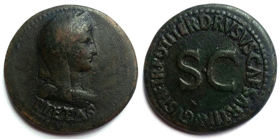 Vipsania dupondius.jpg