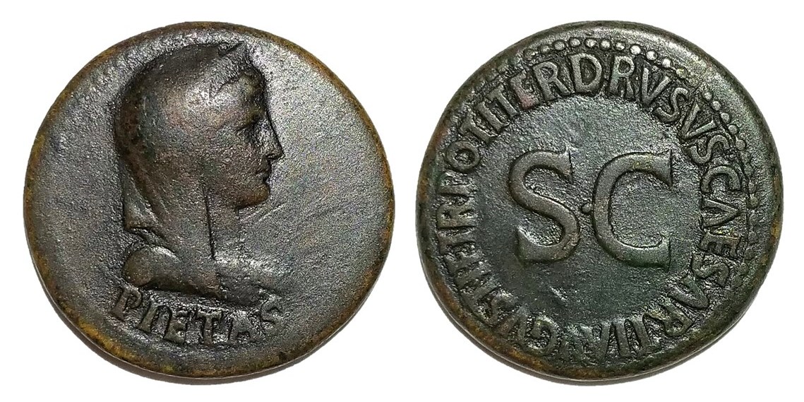 Vipsania dupondius.jpg