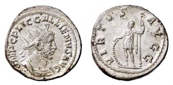 virtus 1.jpg