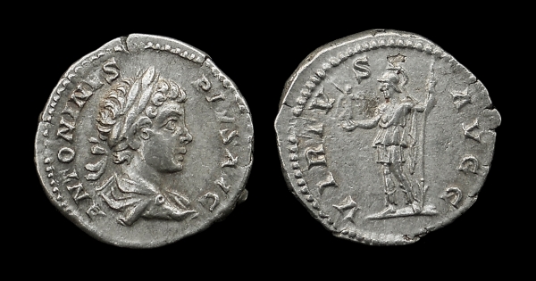 virtus 600.jpg