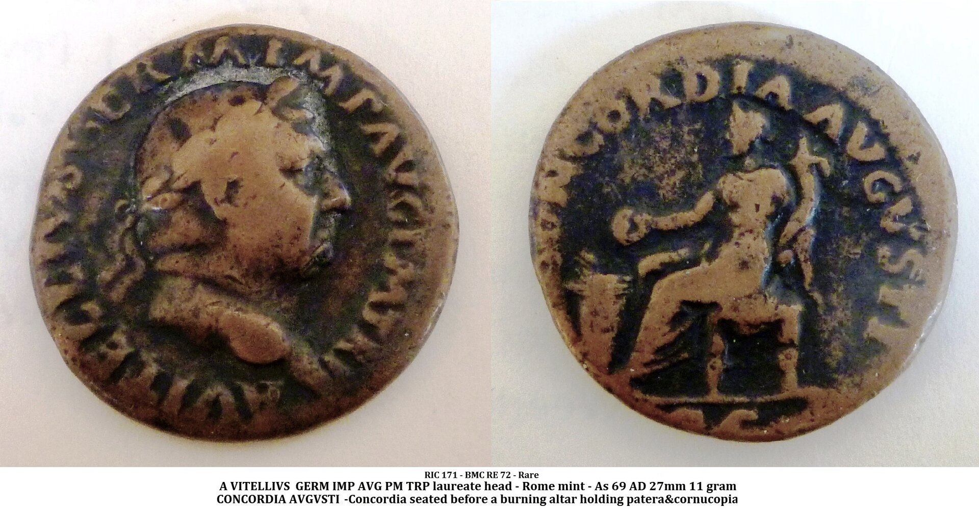 Vitellius 2.jpg