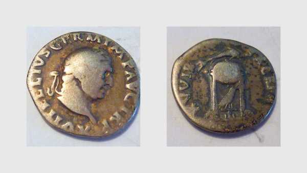 Vitellius 2_opt.jpg