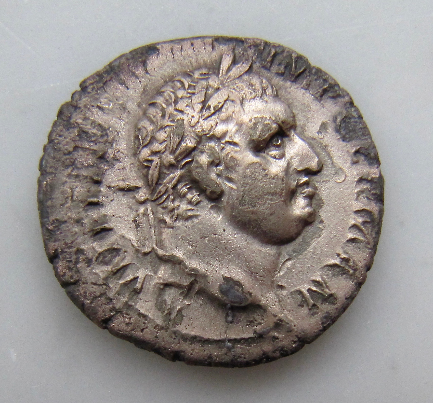 Vitellius portrait | Coin Talk