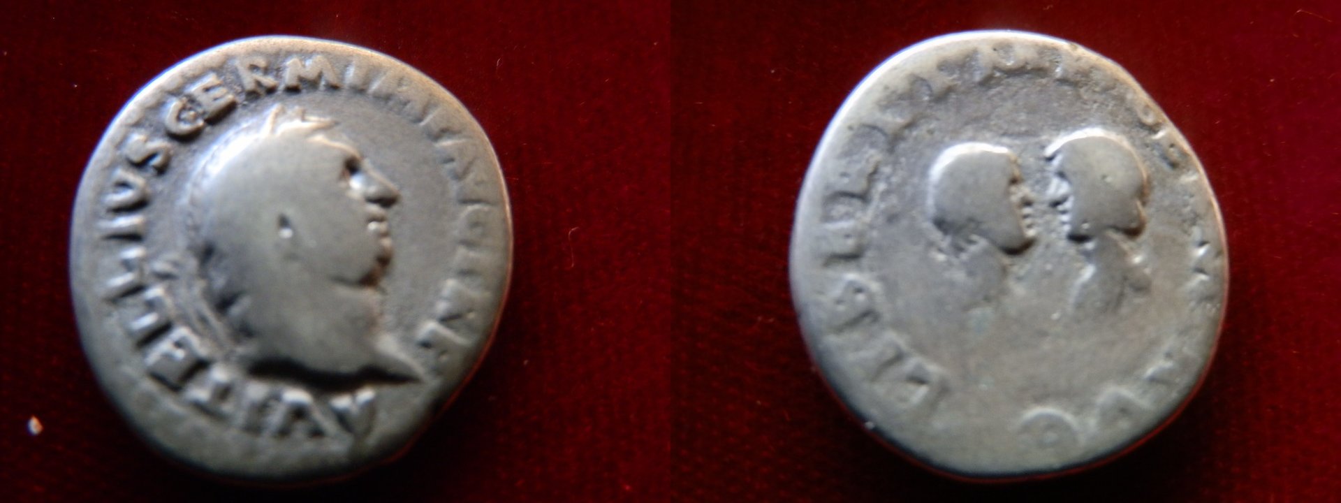 Vitellius dynastic.smalljpg.jpg