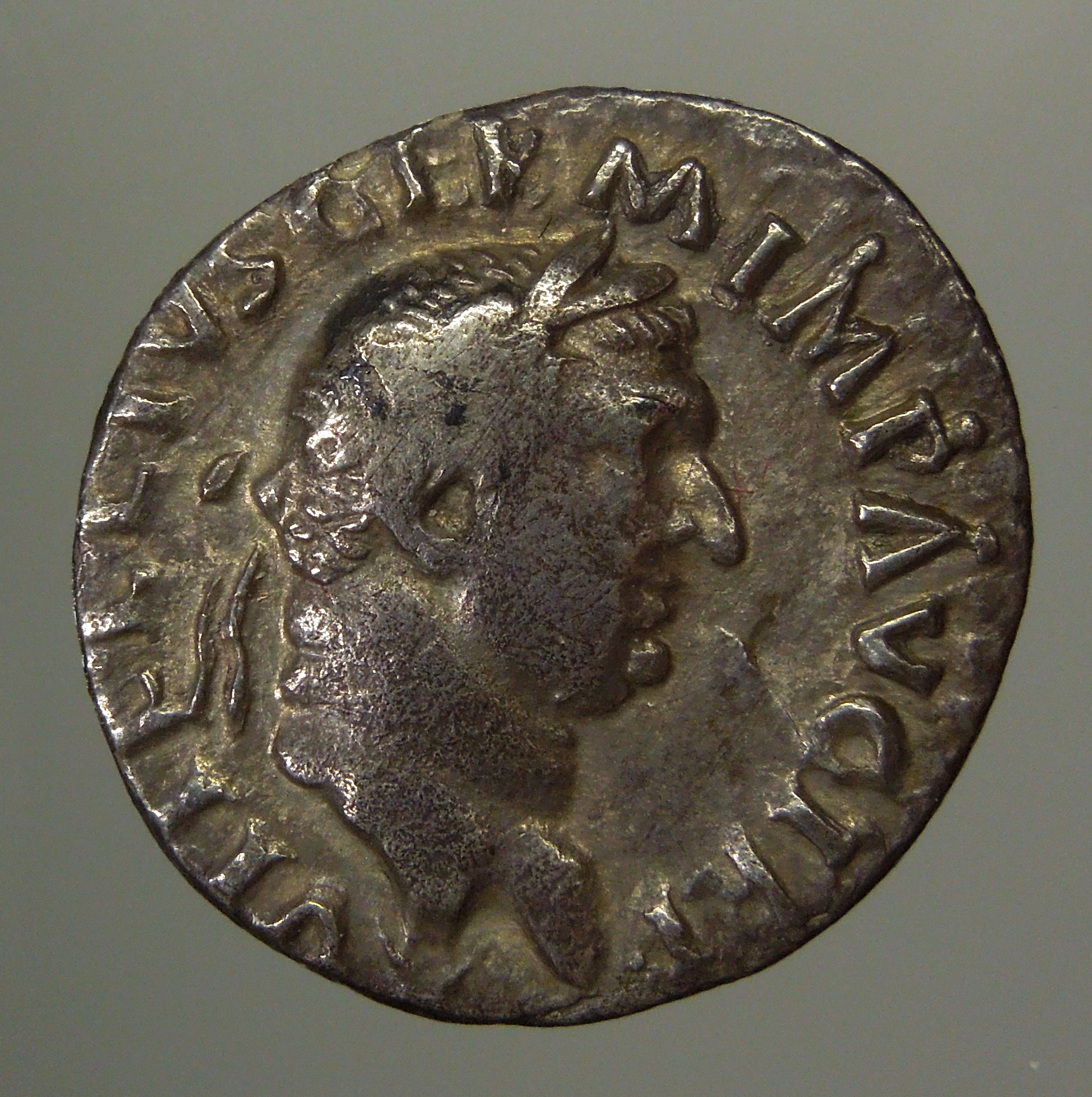 Vitellius noseA.JPG