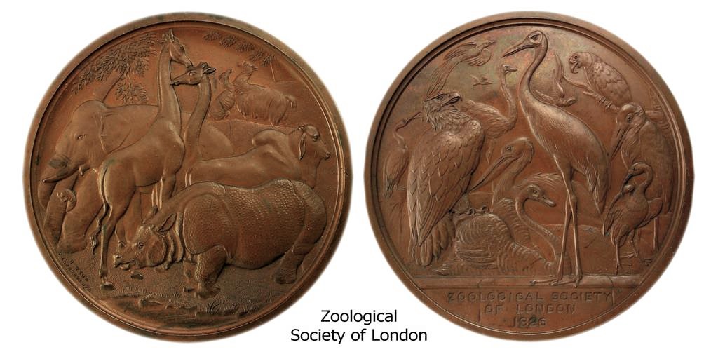 vMerged1826ZoologicalSociety2.jpg