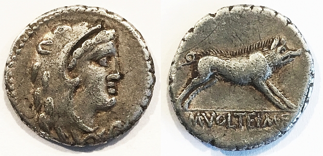 Volteius.jpg
