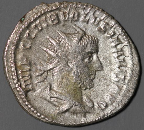 volusian122812o.JPG