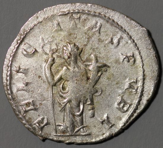 volusian122812r.jpg