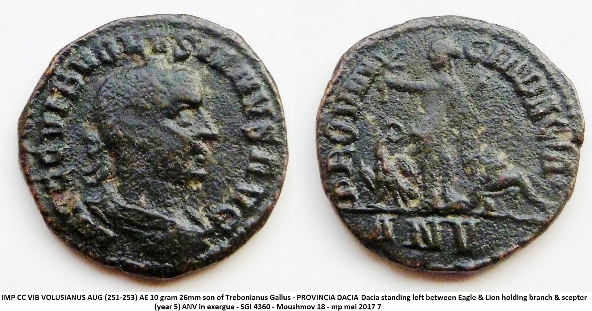 Volusianus.jpg