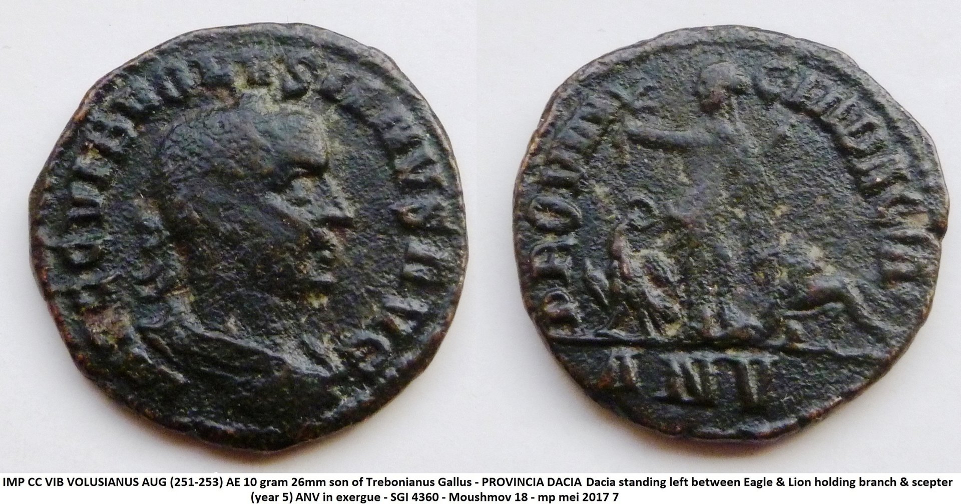 Volusianus.jpg