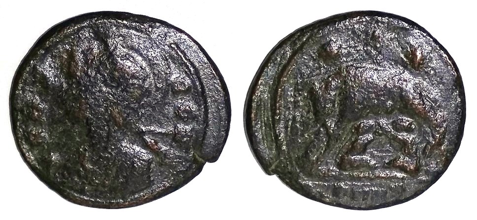 VRBS ROMA Nicomedia.jpg