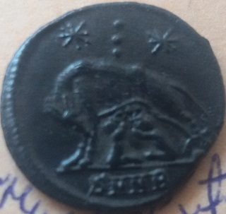 Vucica2.jpg