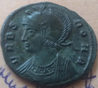 Vucica3.jpg