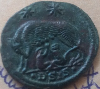 Vucica4.jpg
