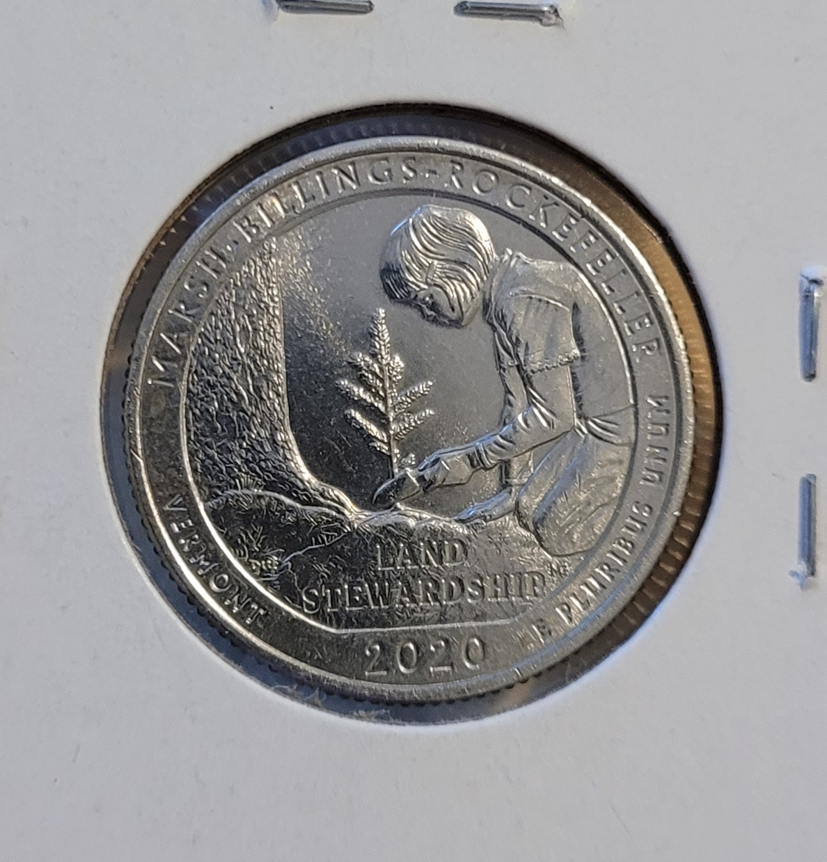 W quarter 2 reverse.jpg