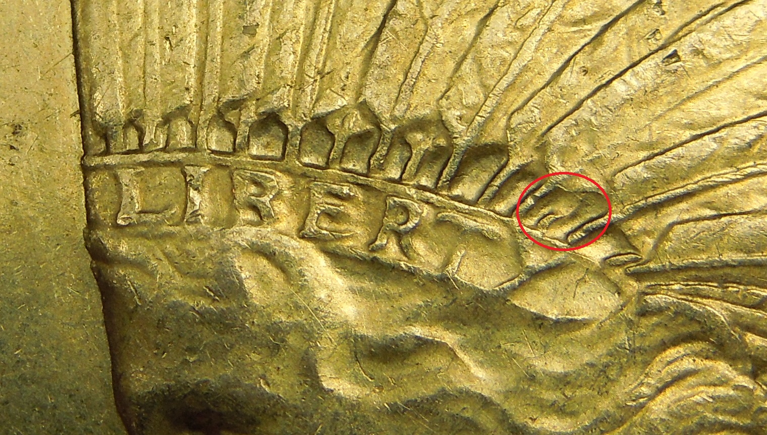 w1.jpg