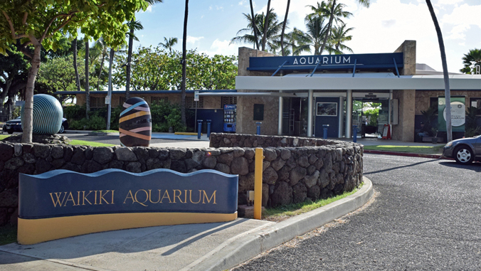 waikiki-aquarium.jpg