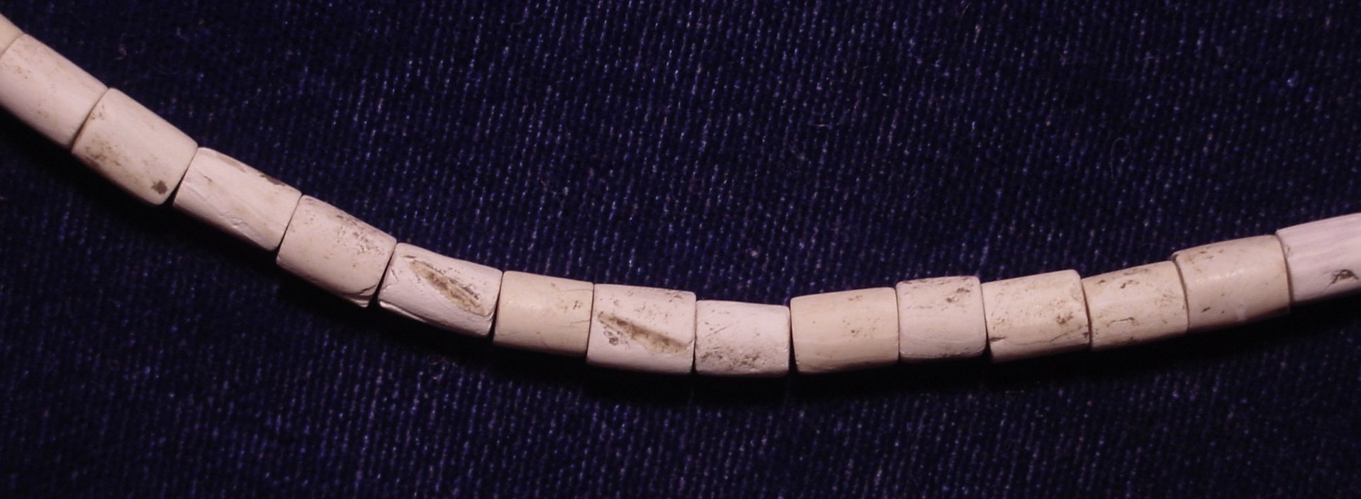 wampum close-up.jpg