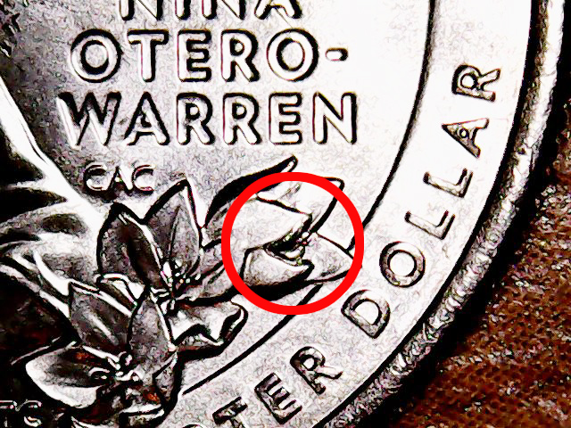 warren-4.jpg