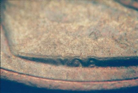 wddo-002a.jpg