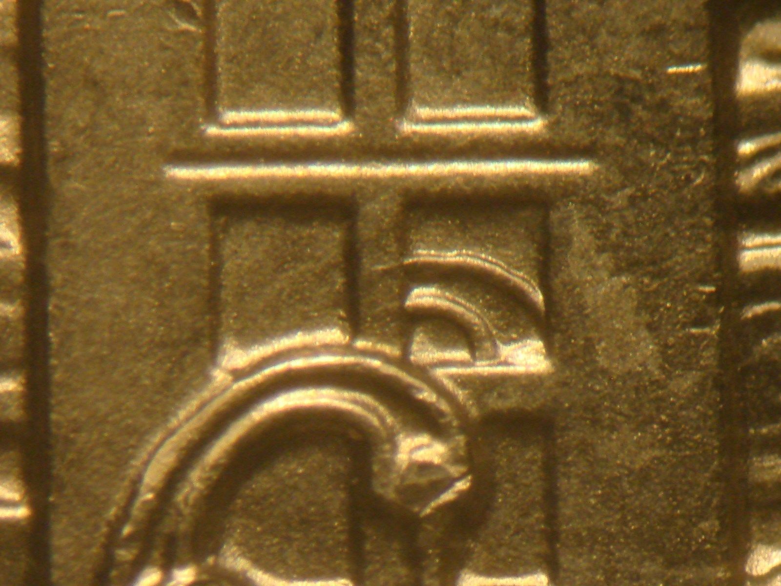 WDDR-004.jpg