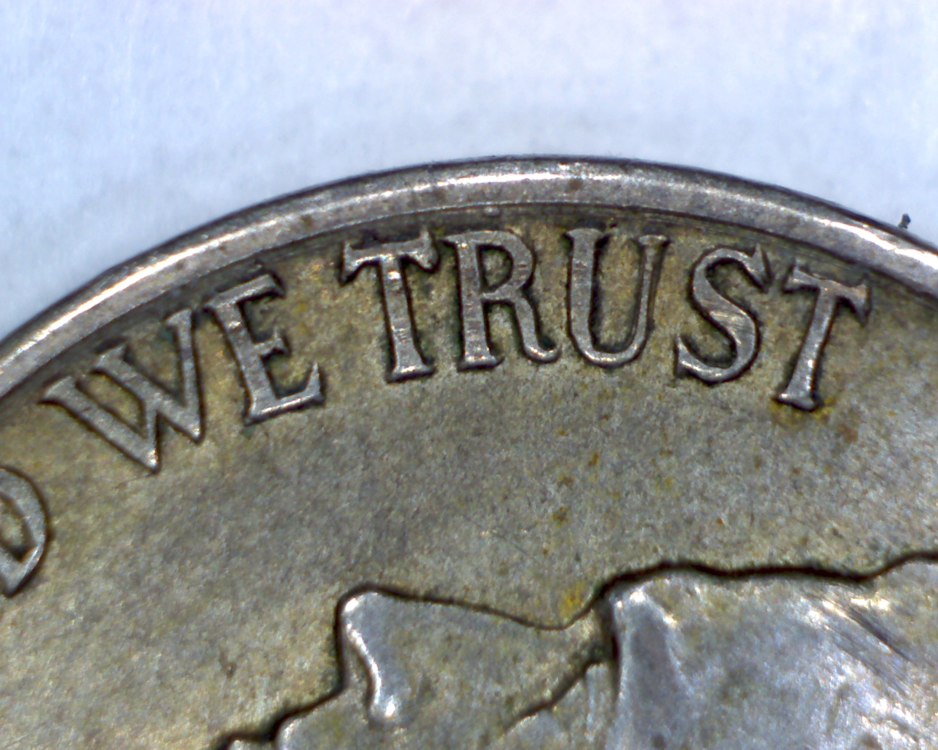 WE TRUST.jpg