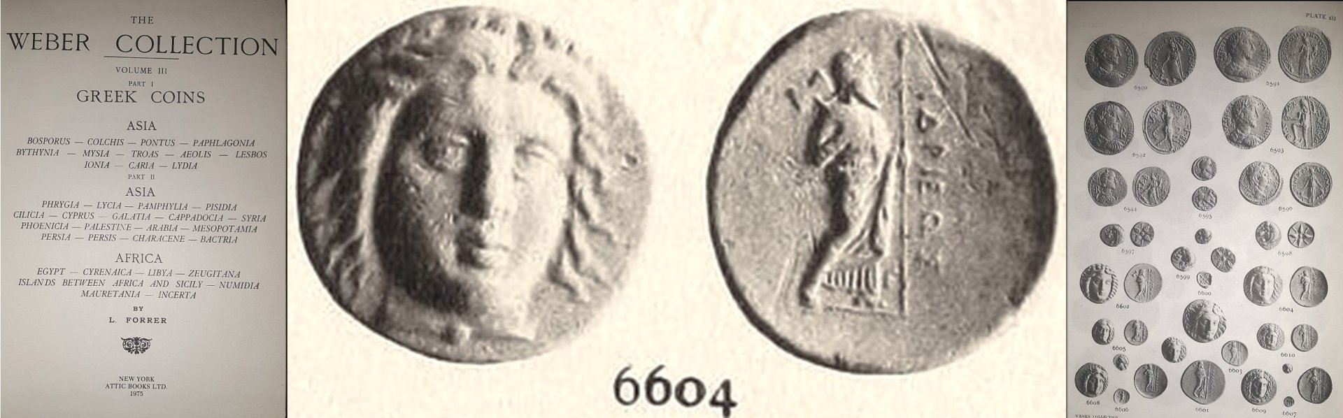 Weber 6604 Hidrieus Collage.jpg