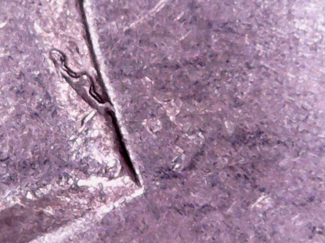 Wed Apr 03 23-04-12.jpg