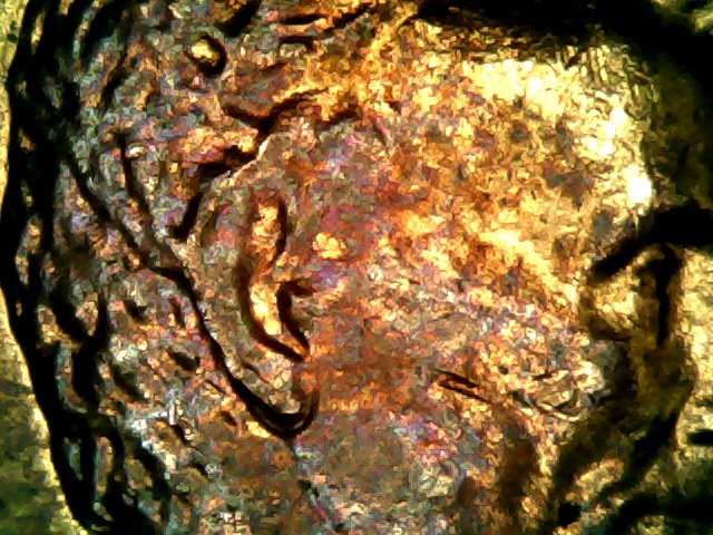 Wed Dec 02 05-07-21.jpg