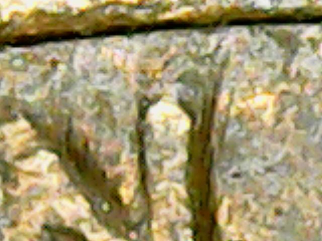 Wed Dec 12 02-44-55.jpg