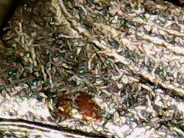 Wed Feb 04 22-26-12.jpg