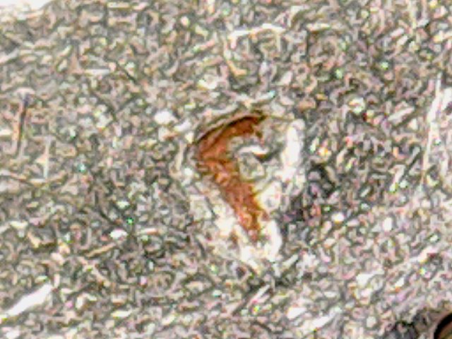 Wed Feb 04 22-26-37.jpg