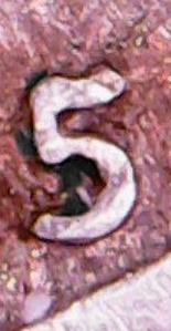 WED NOV 06 06-11-44_crop.jpg