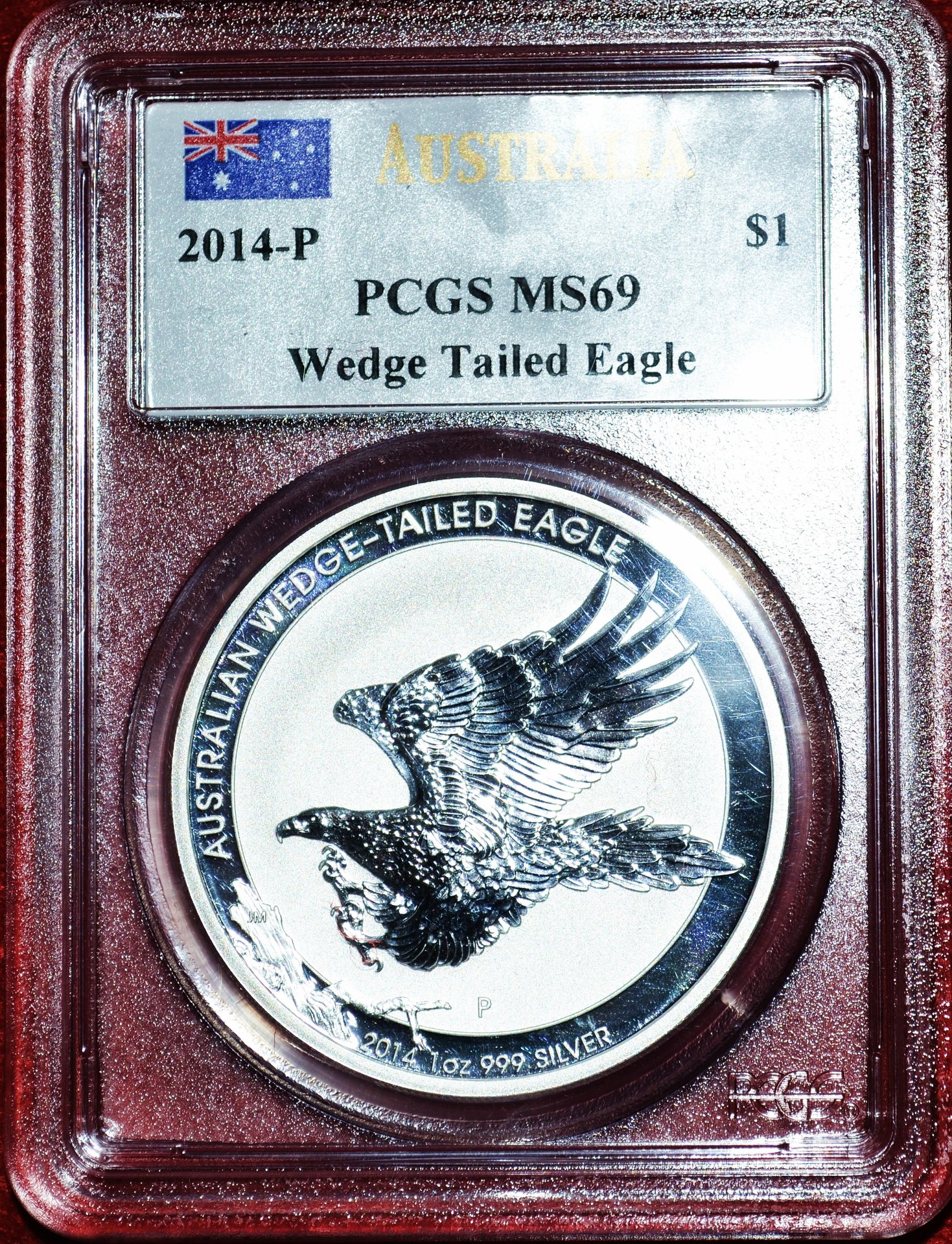 Wedge Tail Eagle-22.JPG