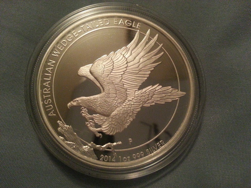 wedgetaleagle.jpg
