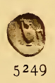 Weeber 5249.jpg