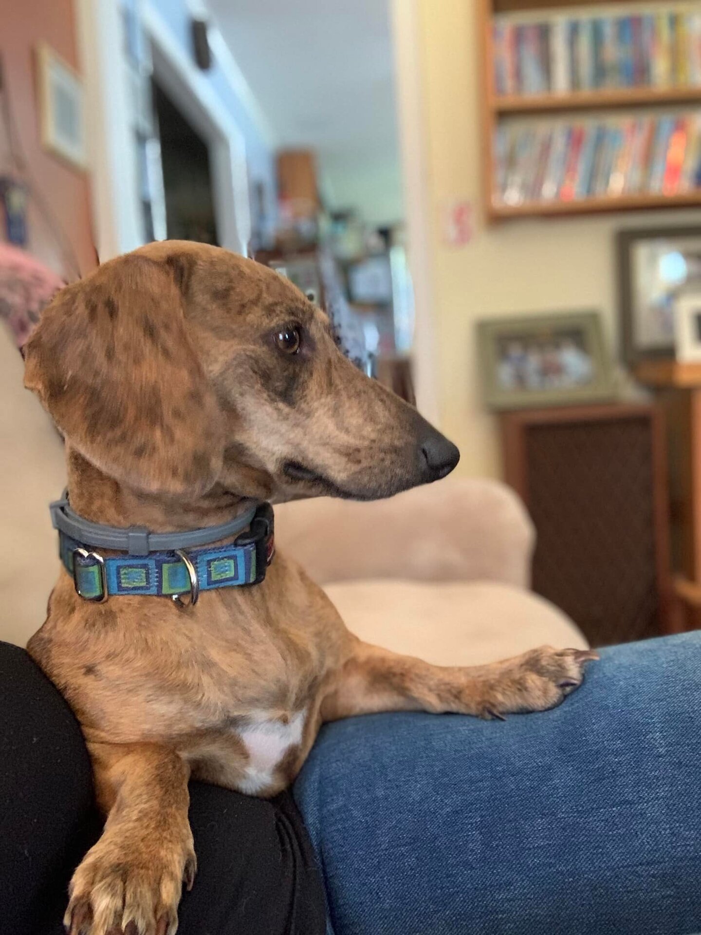 Weiner1.jpg