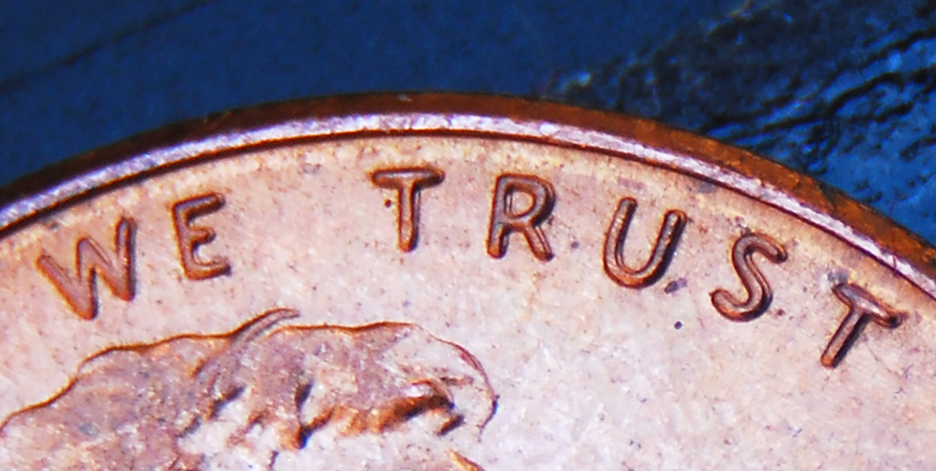 wetrust.jpg