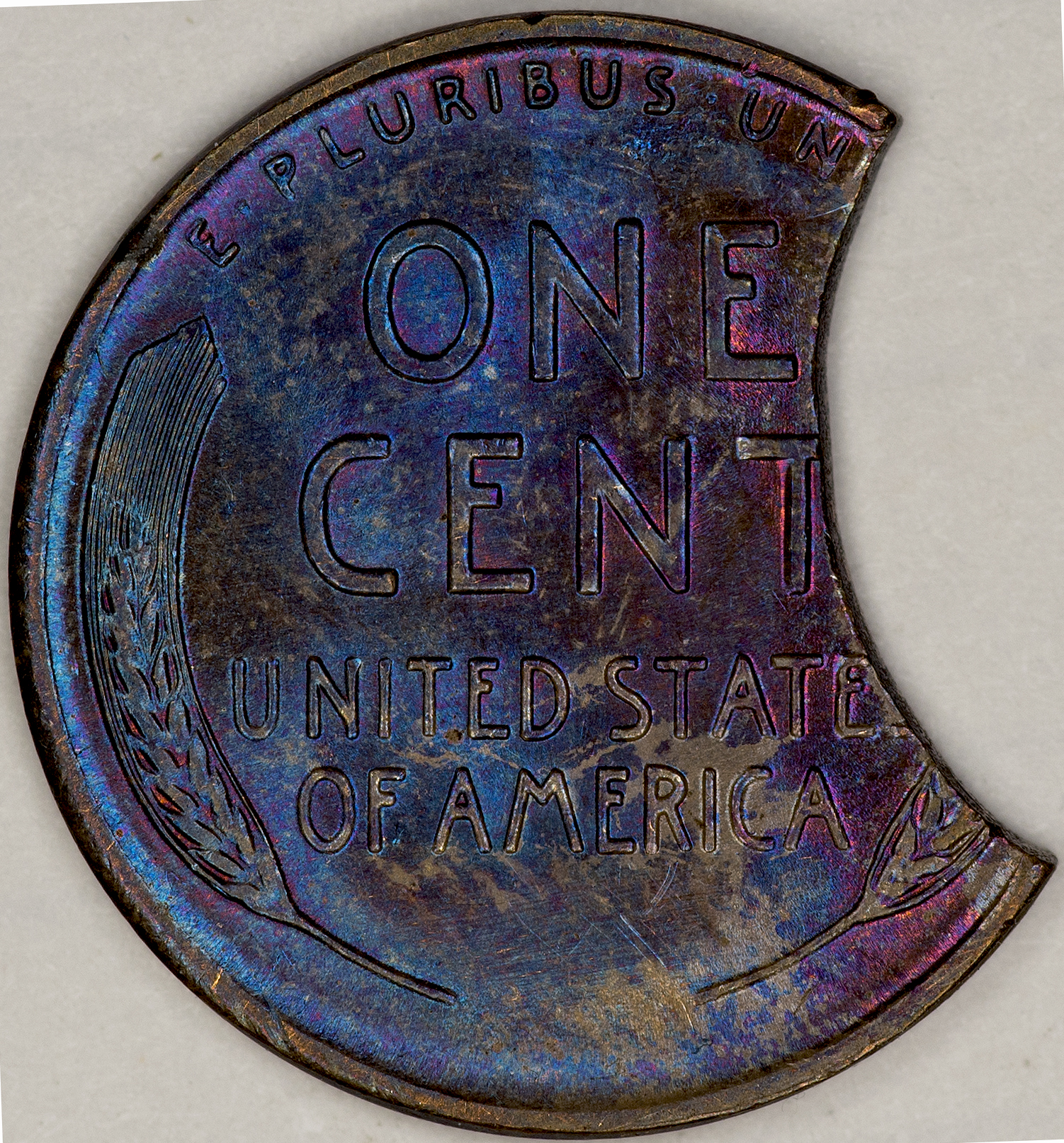 Wheat Cent Mint Clip - 2.jpg