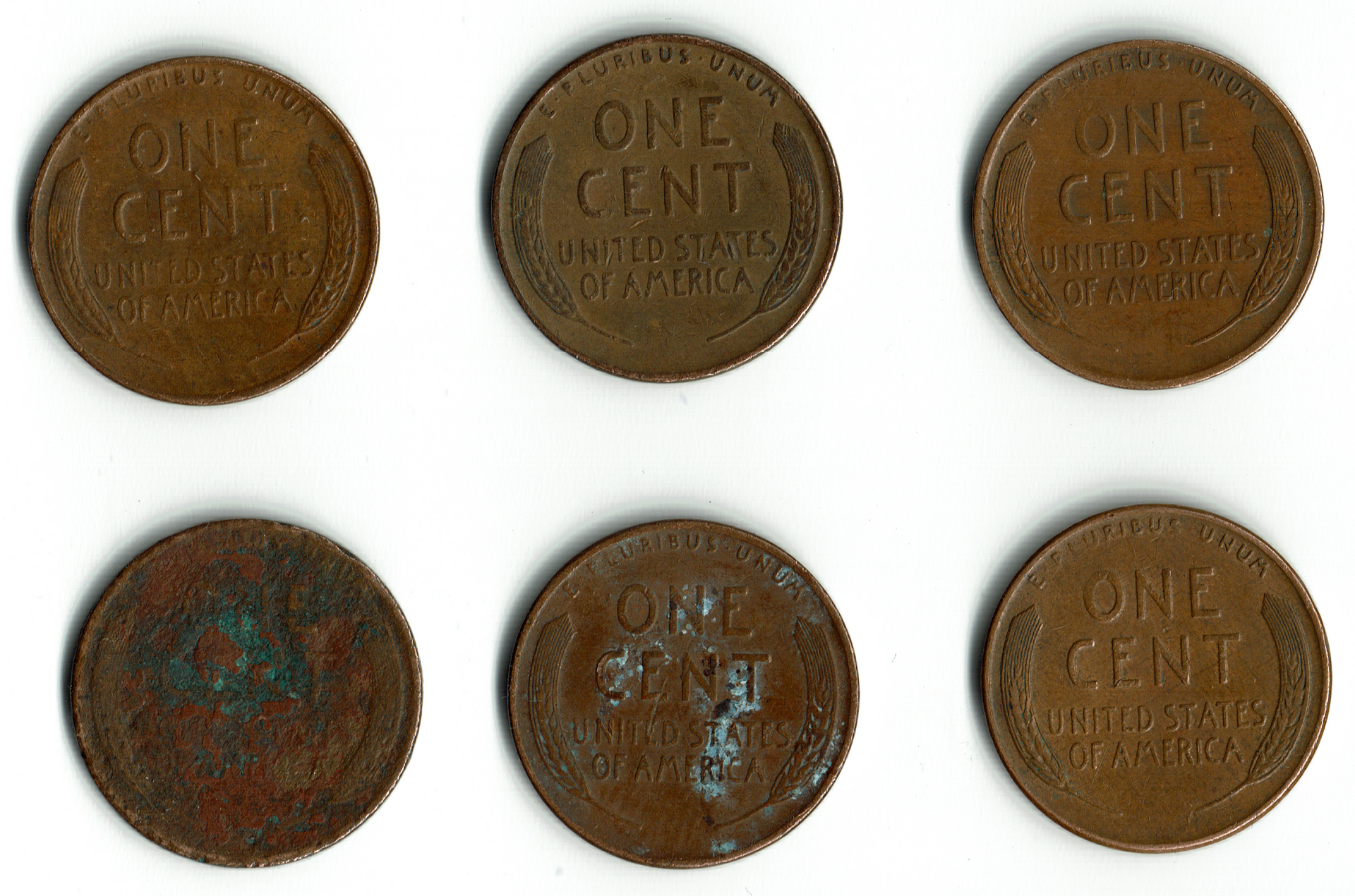 Wheat Cents Home Depot May 12th 2021 Reverse .png